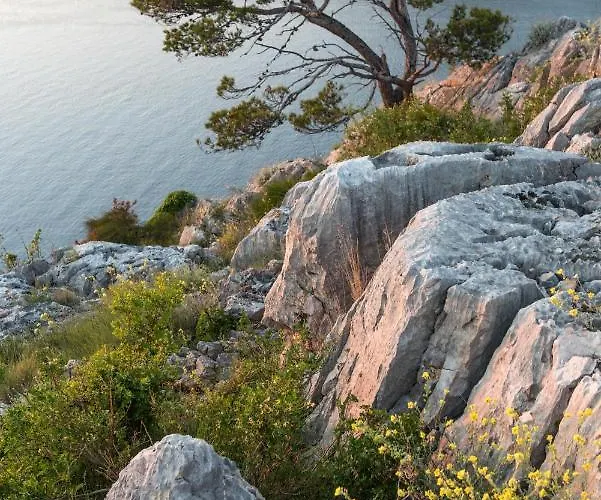 公寓 Karla & Jakov 希贝尼克